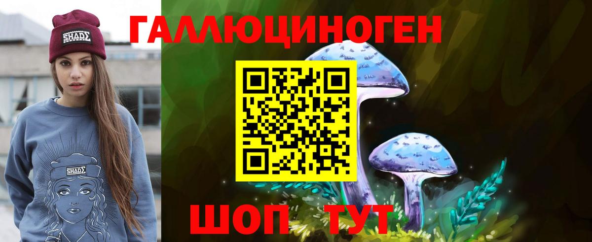 купить  сайты  Вход с VPN  Муравленко  Псилоцибиновые грибы Psilocybine cubensis  Галлюциногенные грибы GOLDEN TEACHER 
